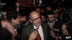 Мохаммед аль-Барадеи в окружении сторонников и журналистов