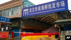 FILE - The Huanan Seafood Wholesale Market sits closed in Wuhan in central China's Hubei province, Jan. 21, 2020. Some scientists believe infected animals were first brought to the Wuhan market in late November 2019, which then triggered the pandemic.  