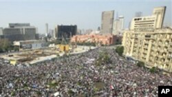 The crowd gathers in Tahrir, or Liberation, Square in Cairo, Egypt, February 1, 2011