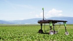 Quiz - Smart Farm Equipment to Greatly Reduce Use of Chemicals