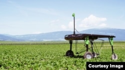 In this file photo, ecoRobotix demonstrates its 'smart farm' technology, which uses artificial intelligence to identify weeds and precisely deliver herbicide to kill them. (ecoRobotix)