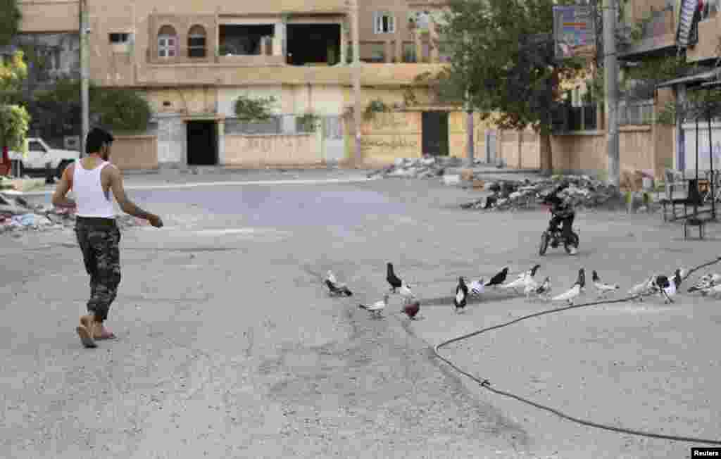 A Free Syrian Army fighter feeds pigeons along a street in Deir al-Zor, Sept. 5, 2013.