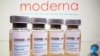 Vaccine Moderna thành công, thêm hy vọng chặn COVID-19 cho thế giới