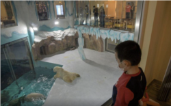 Polar Bear Hotel