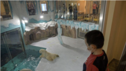 Visitors look at polar bears in an enclosure inside a hotel at a newly-opened polarland-themed park in Harbin, capital of northeast China's Heilongjiang province March 12, 2021.