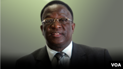 Vice President Emmerson Mnangagwa. (Collage by Ntungamili Nkomo)