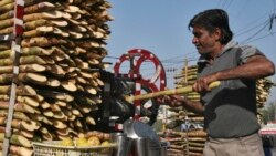 Seca prejudica produção açucareira moçambicana