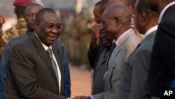 2014年1月8日中非共和国总统米歇尔乔托迪亚（左）启程前往乍得避难前和政府政要握手