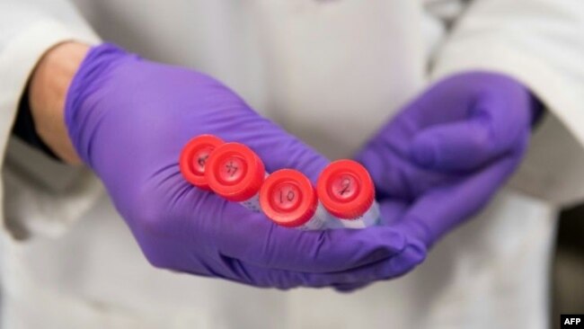 Hiromitsu Nakauchi's research centers on creating animal embryos that contain human cells. His team sought approval to grow human cells in animal embryos and then implant them into the uterus of animals. (AFP Photo/SAUL LOEB)