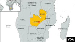 The Law Association of Zambia has called for political groups to urge supporters to refrain from politically motivated violence. 