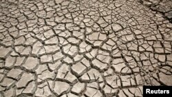 Cracked ground is pictured at the dried Ajuan Khota dam, a water reserve affected by drought near La Paz, Bolivia, Nov. 17, 2016.