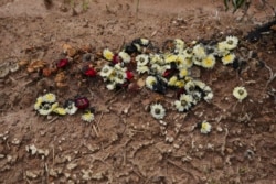 Kelopak bunga kering tergeletak di makam Arbaz Mullah di Belagavi, India, 8 Oktober 2021. Arbaz Mullah adalah seorang pria Muslim yang jatuh cinta dengan seorang perempuan Hindu. (Foto: AP/Aijaz Rahi)