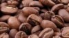 Governo aposta na produção de café no Kwanza Sul