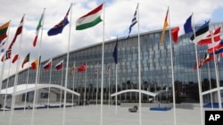 Zastave zemalja NATO ispred sjedišta Alijanse u Briselu, Belgija, 11. jula 2018, u vrijeme održavanja samita tog saveza, sa kog je Makedoniji poslat poziv za pristupanje.