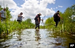 Kimberly Loring, from right, Roxanne White, Lissa Loring and George A. Hall, cross a creek looking for clues during a search for the Loring's sister and cousin, Ashley HeavyRunner Loring, who went missing in 2017 from the Blackfeet Indian Reservation in Valier, Mont., Wednesday, July 11, 2018.