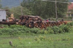 A log pile sits in the yard of Kea Teav's neighbor house in Krakor district, Pursat province, Cambodia, August 5, 2020. (Sun Narin/VOA Khmer).