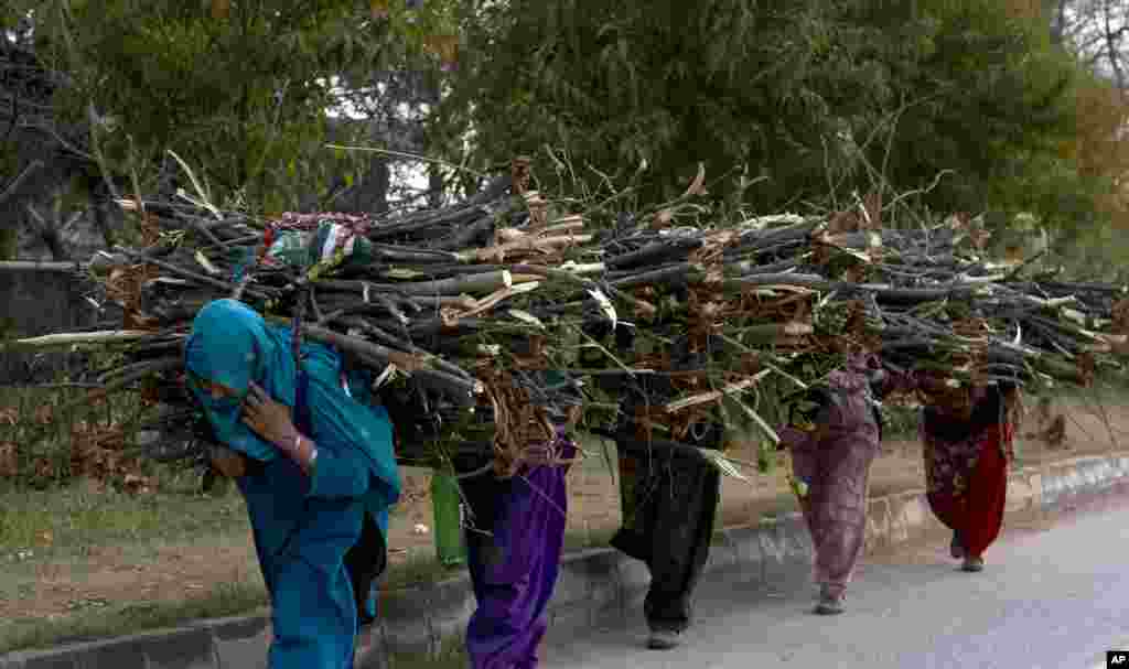 Pakistani women carry wood they have collected to be used as fuel for cooking and heating, in Islamabad.
