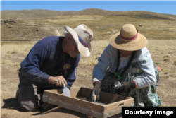 Excavations at Wilamaya Patjxa, Peru. (Photo: Randall Haas)