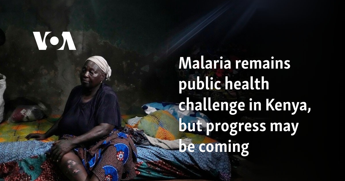 Malaria remains public health challenge in Kenya, but progress may be coming 