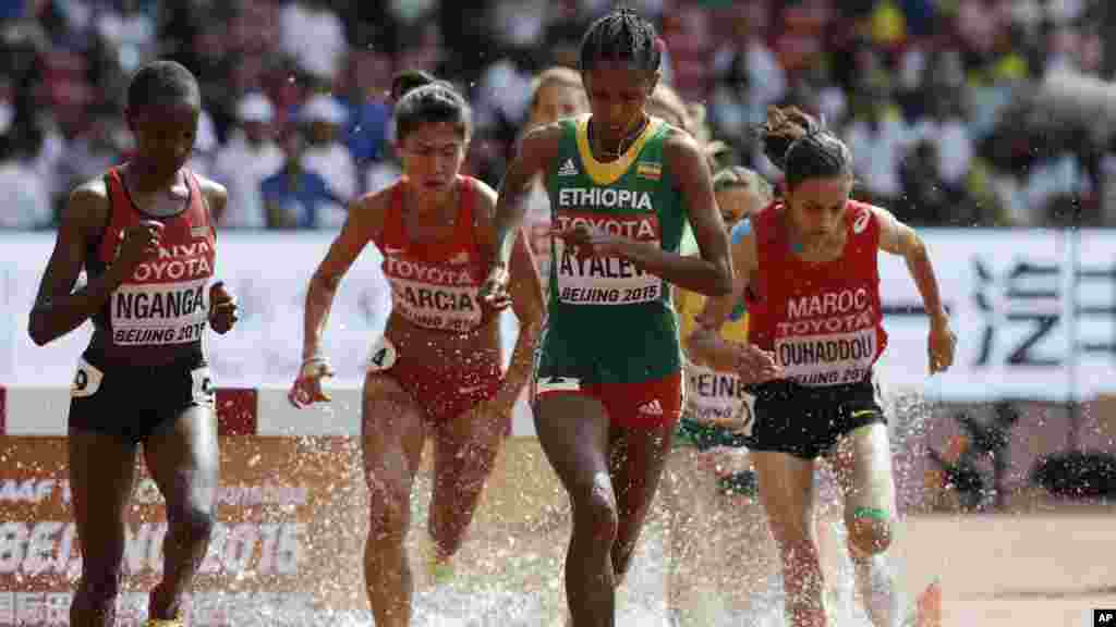Hiwot Ayalew de l'Ethiopie mène le peloton au 3000m steeplechase féminin lors des Championnats du monde d'athlétisme au stade Nid d'oiseau à Pékin, 24 août 2015. 