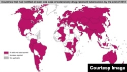 Les pays où l'on recense au moins un cas de tuberculose multi-résistante 