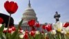 Congresso analisa escândalos no governo americano