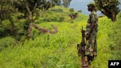 A soldier with M23 keeps watch on the valley below the hill of Kavumu in North Kivu, eastern Democratic Republic of the Congo, June 3, 2012.