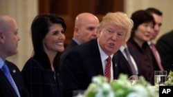President Donald Trump, sitting next to U.S. Ambassador to the UN Nikki Haley, speaks during a working lunch with ambassadors of countries on the United Nations Security Council and their spouses, Monday, April 24, 2017, in the State Dining Room of the White House in Washington. (AP Photo/Susan Walsh)