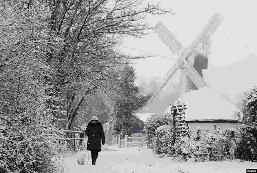 A woman walks her dog by a windmill after a snowfall at Stelling Minnis, southeast England. 