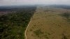 Brazil to Reinstate Protection for Amazon Reserve