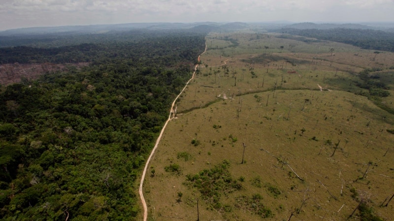 Brazil to Reinstate Protection for Amazon Reserve
