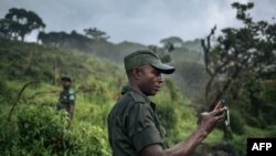 Bamwe mu barinzi ba Parike bari mu ishyamba ryo mu burasirazuba bwa Kongo mu ntara ya Kivu y'Epfo