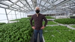 Iron Ox CEO Brandon Alexander poses for a portrait in the company's greenhouse in Gilroy, California, U.S. on September 15, 2021. Picture taken September 15, 2021. REUTERS/Nathan Frandino