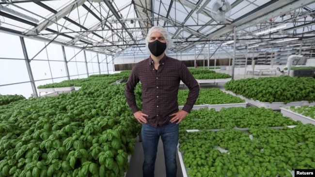 Iron Ox CEO Brandon Alexander poses for a portrait in the company's greenhouse in Gilroy, California, U.S. on September 15, 2021. Picture taken September 15, 2021. REUTERS/Nathan Frandino