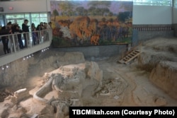 At the Waco Mammoth National Monument, visitors can view "in situ" fossils including female mammoths, a bull mammoth, and a camel that lived approximately 67,000 years ago.