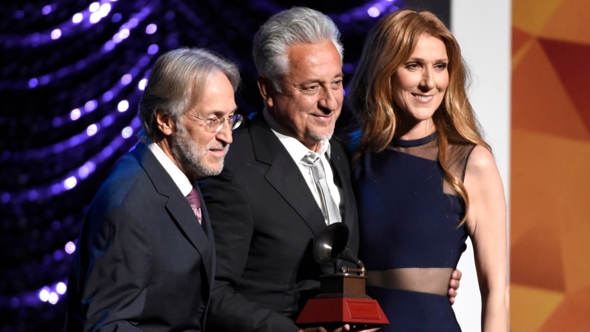 Celine Dion Delivers Touching Paris Tribute at 2015 AMAs