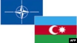 NATO-Azərbaycan bayraqları 