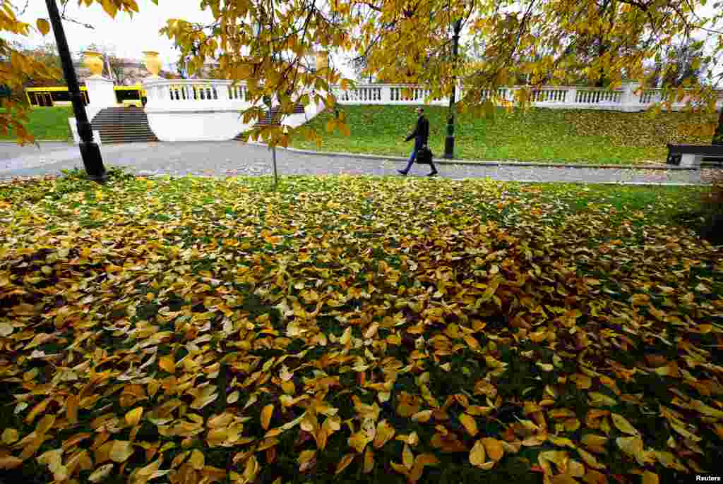 A man walks under trees with colored leaves during autumn in central Minsk, Belarus.