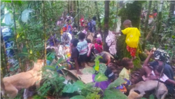 Pengungsi warga Kampung Imsun, Papua, terlihat di hutan. (Foto: Courtesy/KMSPPM)