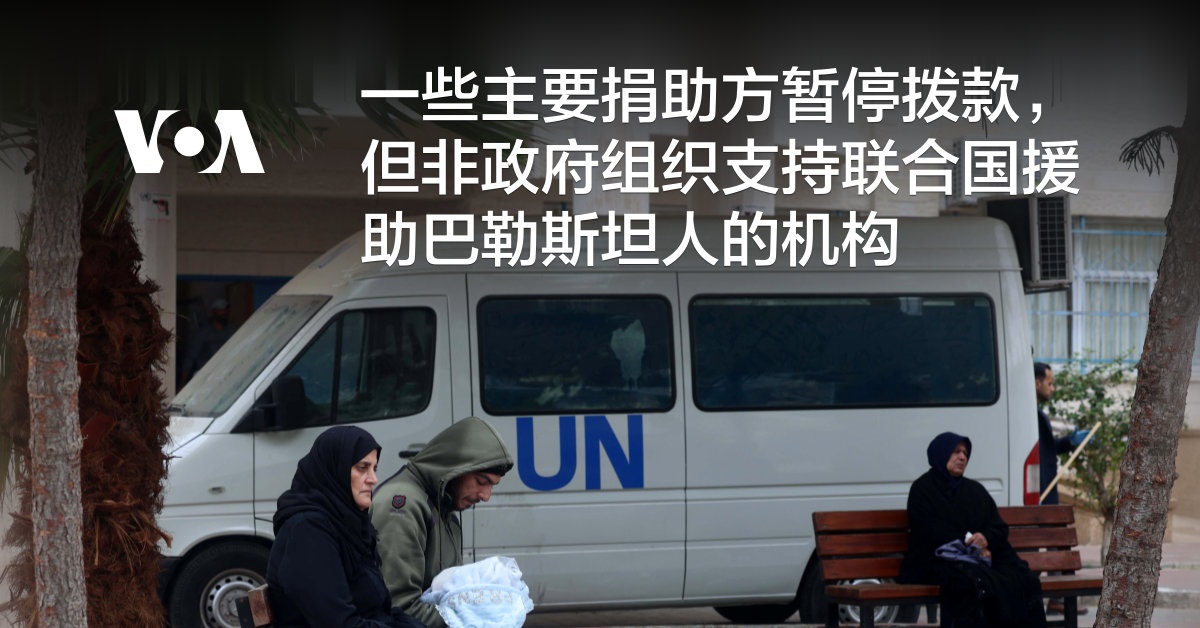 一些主要捐助方暂停拨款,但非政府组织支持联合国援助巴勒斯坦人的机构