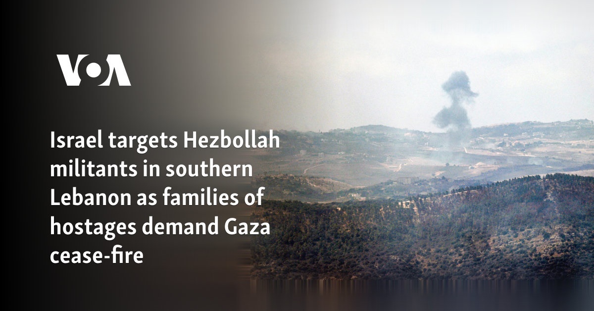 Israel targets Hezbollah militants in southern Lebanon as families of hostages demand Gaza cease-fire