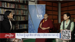 བོད་མི་མང་སྤྱི་འཐུས་ཚོགས་གཙོ་གཞོན་ལ་དམིགས་བསལ་བཅར་འདྲི།