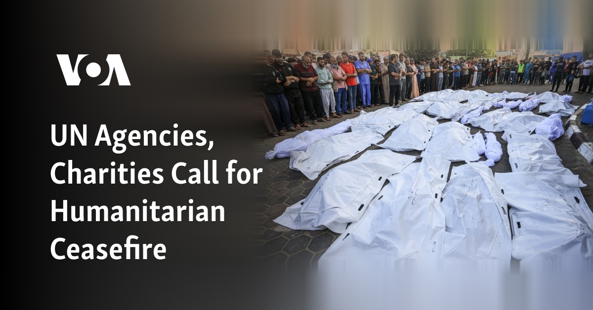 UN Agencies, Charities Call for Humanitarian Ceasefire
