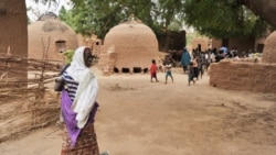 Sommet des chefs d’Etats africains au Niger sur le climat