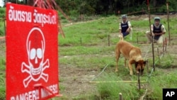 According to the International Campaign to Ban Landmines, 156 countries have signed an international mine ban and 108 have signed a convention against cluster munitions. 