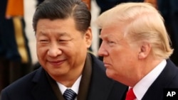 特朗普总统和习近平主席在北京人民大会堂前（美联社 2017.11）