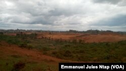 Le site d'Olembé devant abriter le stade de 60.000 places, au Cameroun, le 15 août 2017. (VOA/Emmanuel Jules Ntap)