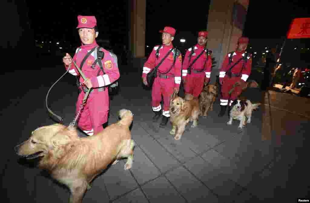 Members of China International Search &amp; Rescue Team and their rescue dogs arrive at Beijing Capital International Airport after a 13-day mission in Nepal, China, May 8, 2015.