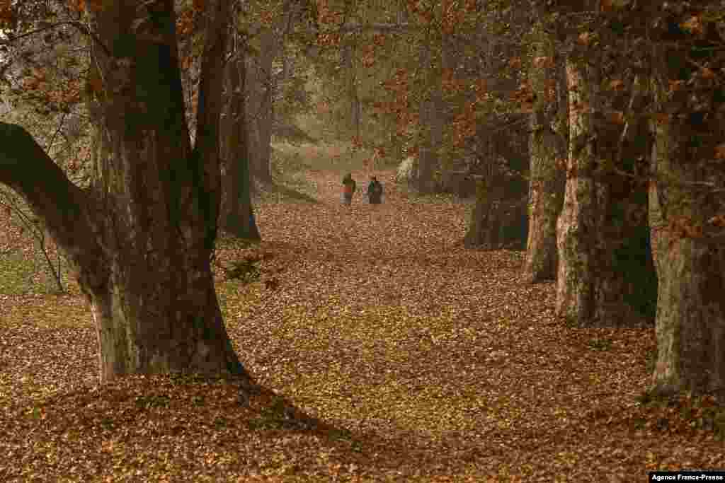 Orang-orang berjalan melewati pepohonan dan daun-daun yang telah gugur pada pagi hari musim gugur di taman Nishat Bagh di Srinagar, Kashmir-India. (Foto: AFP)