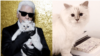 Choupette, kucing peliharaan mendiang perancang adibusana asal Jerman, Karl Lagerfeld